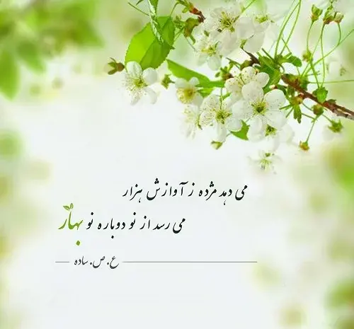 عکس بهاری برای استوری