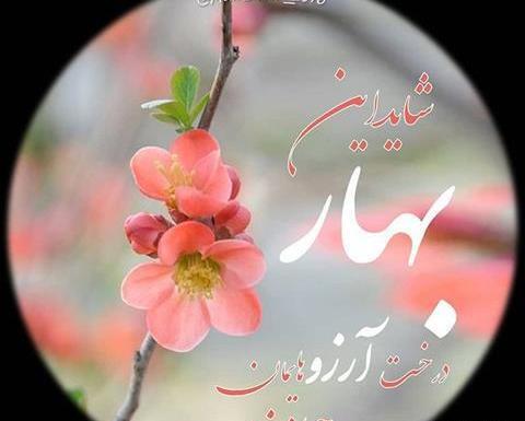عکس بهاری برای استوری