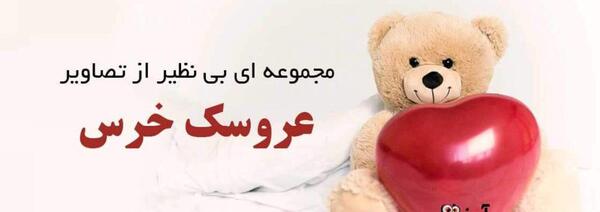 عکس خرس فانتزی بامزه برای تصویر زمینه