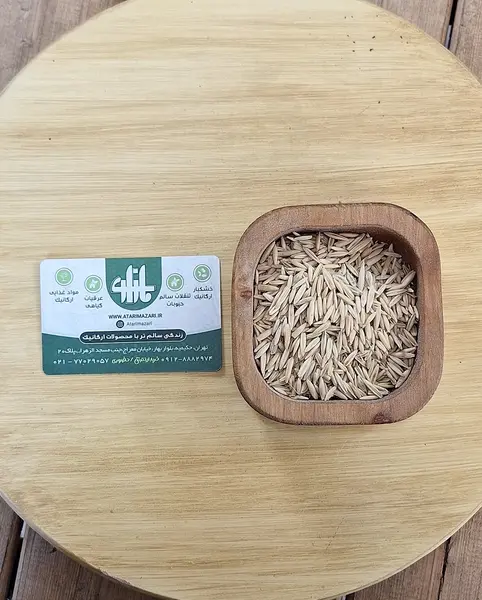 عکس گیاه جو دو سر
