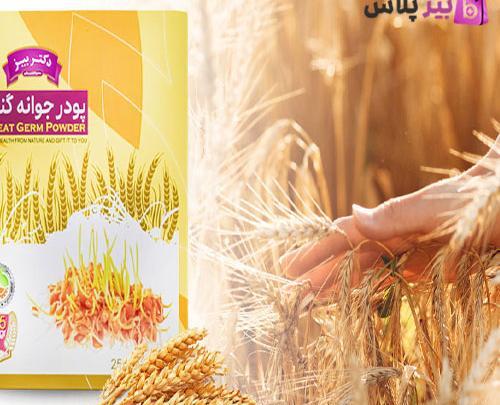 عکس جوانه گندم