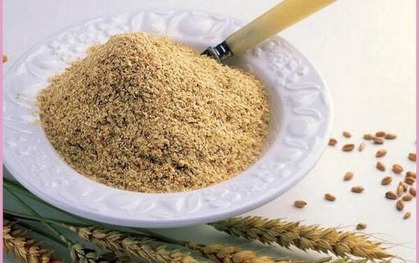 عکس جوانه گندم