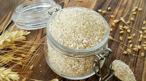 عکس جوانه گندم