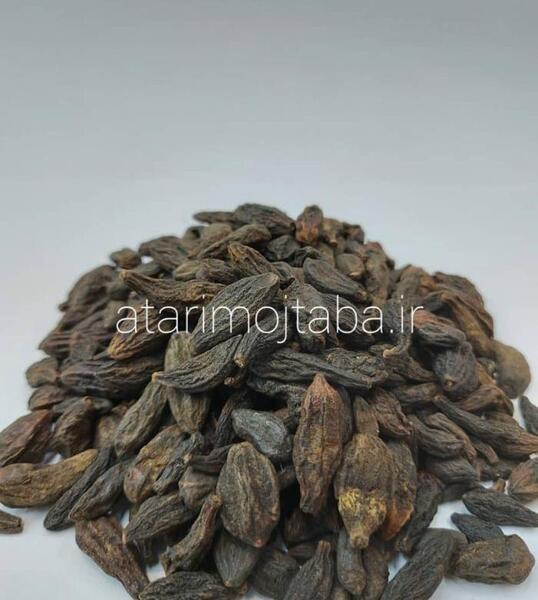 عکس درخت هلیله سیاه