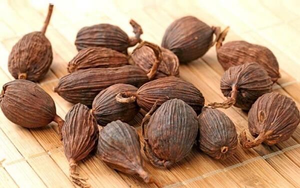 عکس درخت هلیله سیاه
