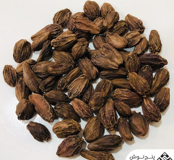 عکس درخت هلیله سیاه