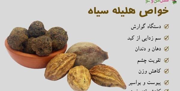 عکس درخت هلیله سیاه