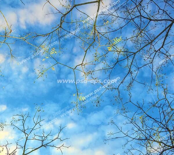 عکس طراحی آسمان