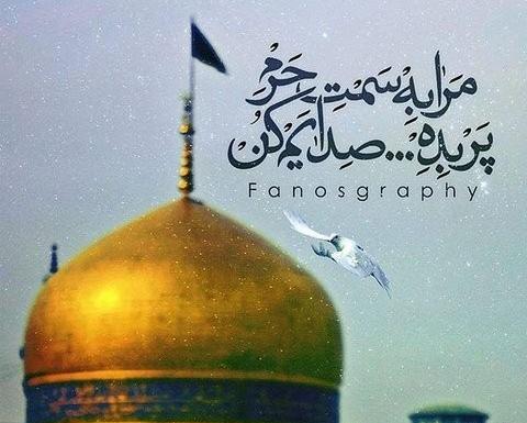 عکس زیبا تولد امام رضا