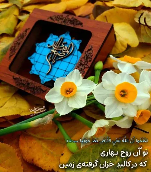 دانلود عکس اغاز امامت امام زمان