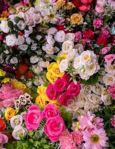 عکس گل رنگارنگ برای تصویر زمینه