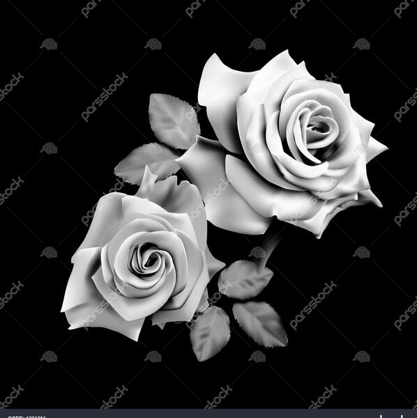 عکس گل رنگارنگ برای تصویر زمینه