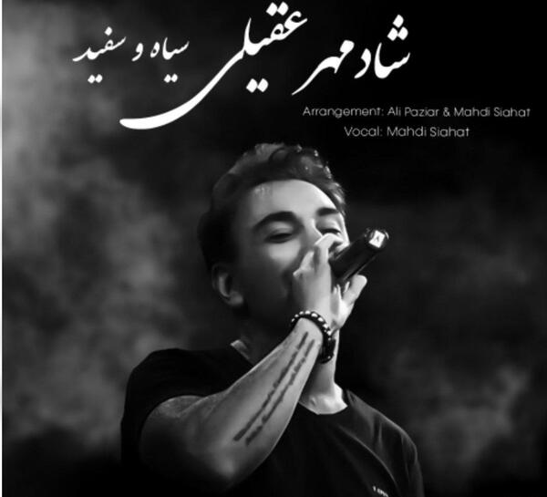 اهنگ عکس تنهایی از شادمهر