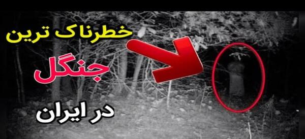 عکس جنگل جیغ مشهد