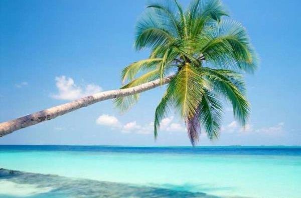 عکس های جالب طبیعی