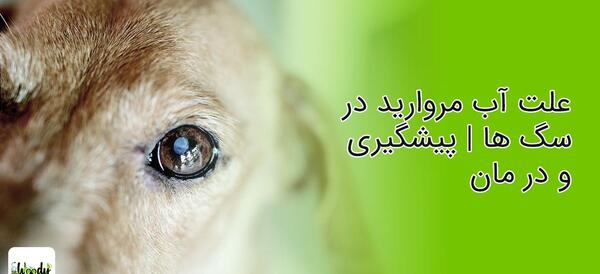 عکس های آب مروارید چشم