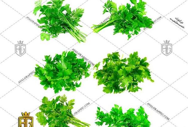 عکس از سبزی جعفری
