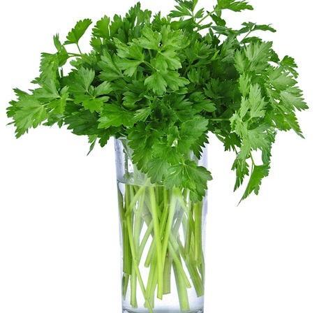 عکس از سبزی جعفری