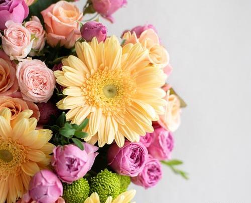 عکس های زیبای گل های بهاری