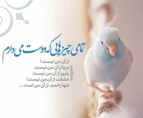 عکس متن دار جالب و جدید