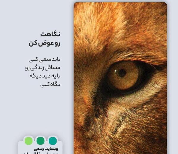 عکس پای شیر جنگل
