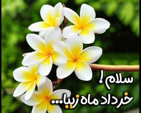 عکس تولد خردادی