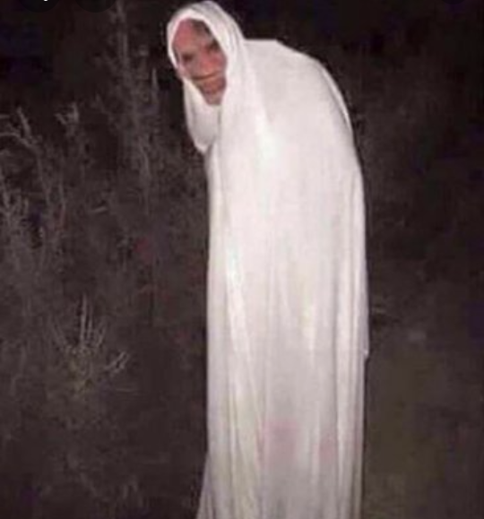 عکس جن واقعی در جنگل