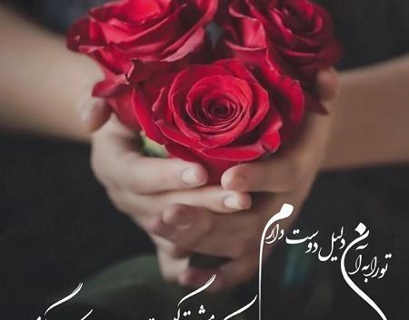 عکس تبریک تولد همسر عاشقانه