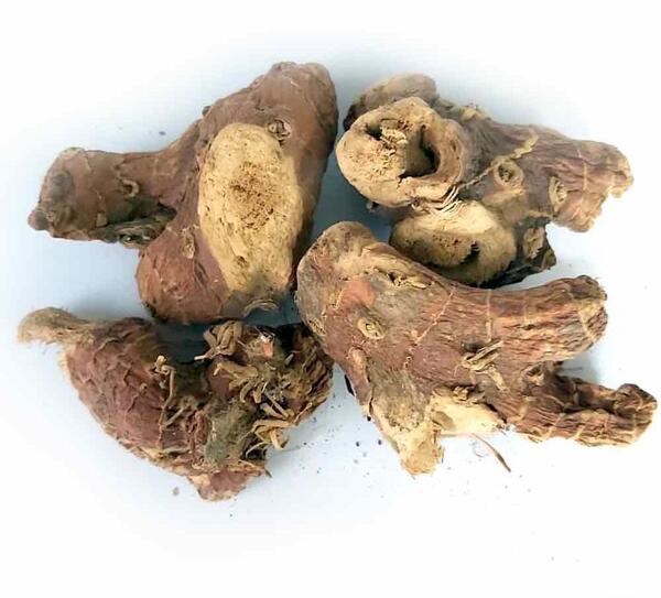 عکس ریشه جوز