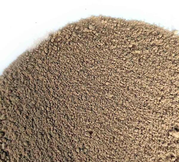 عکس ریشه جوز