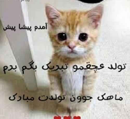 عکس پیامک های طنز تبریک تولد