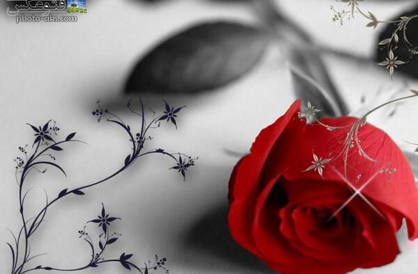عکس زمینه گلدار