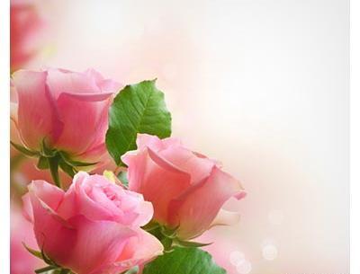عکس زمینه گلدار