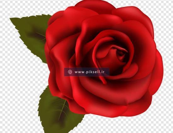 عکس زمینه گلدار