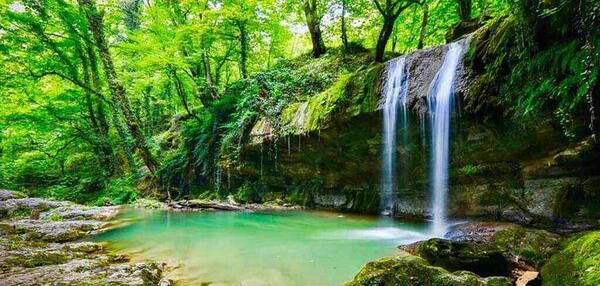 عکس زیباترین جنگل