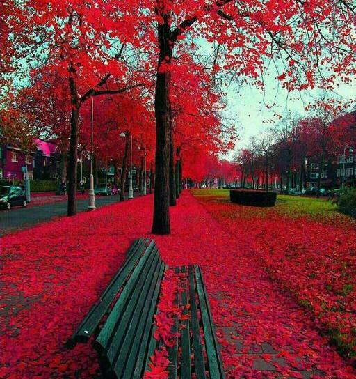 عکس های طبیعت هلند