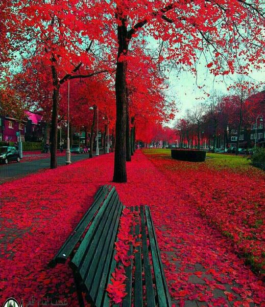 عکس های طبیعت هلند
