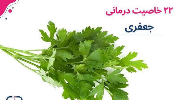 عکس سبزی گشنیز و جعفری