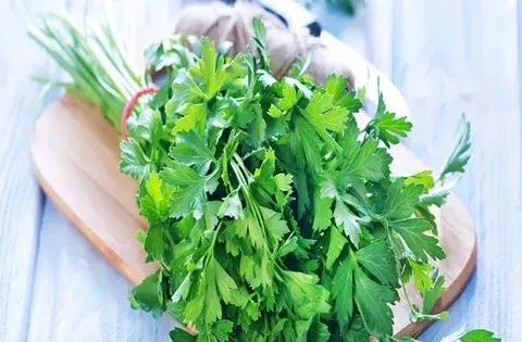 عکس سبزی گشنیز و جعفری