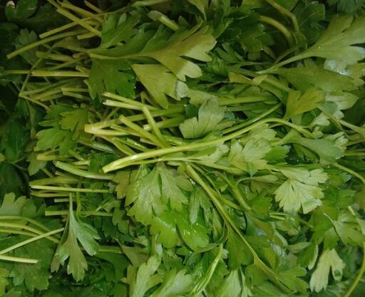 عکس سبزی گشنیز و جعفری