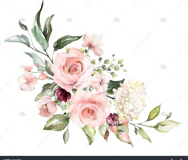 عکس گل جوانه