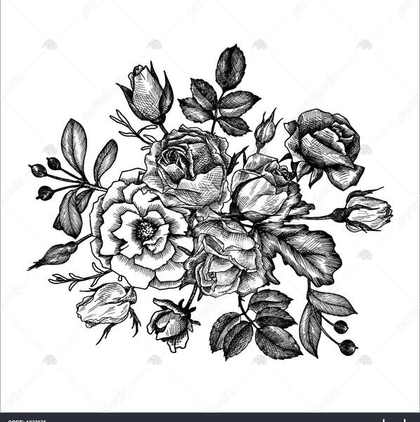 عکس گل جوانه
