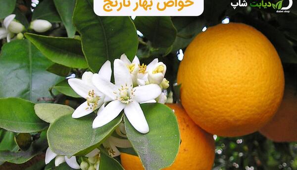 عکس بهار نارنج زیبا