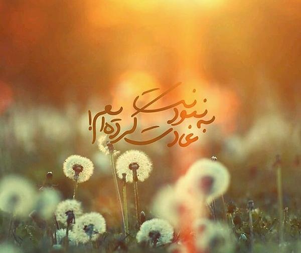 یک عکس زیبا از امام زمان
