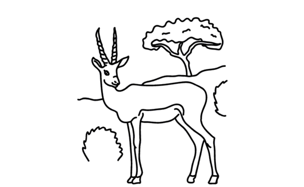 کودکانه عکس آهو کارتونی