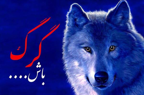 عکس پروفایل پسرانه گرگ با متن
