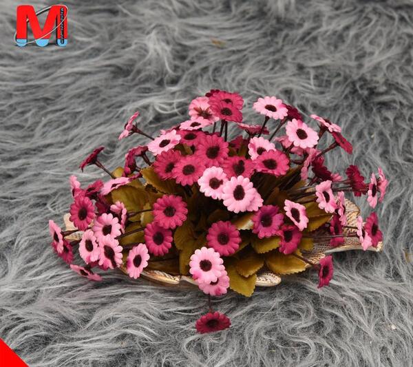 عکس گل مینا با کیفیت بالا