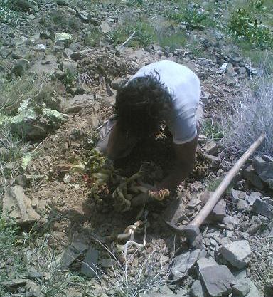 روستای خرو نیشابور عکس جن