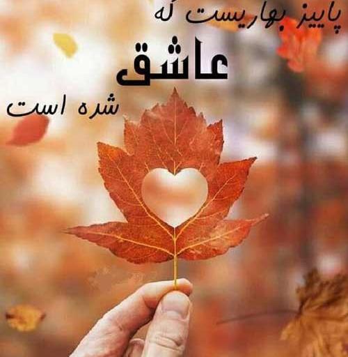عکس تبریک تولد به همسرم