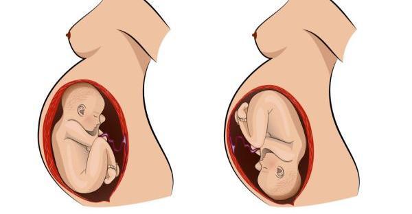 عکس پای جنین روی شکم مادر